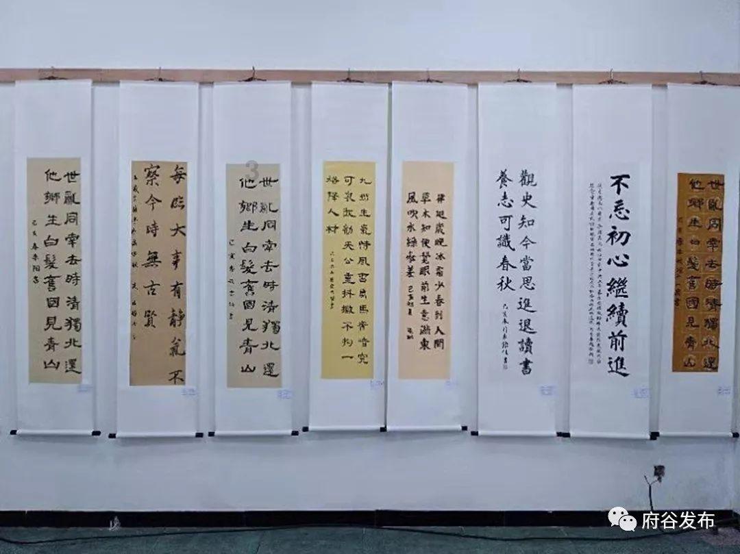 探秘冷知识,尽在页脚横线怎么删除冷知识分享平台!