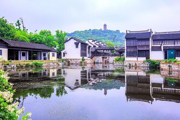 燃烧吧大脑免广告最新版